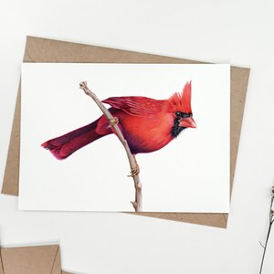 Note Card | Cardinalis |  2 sizes