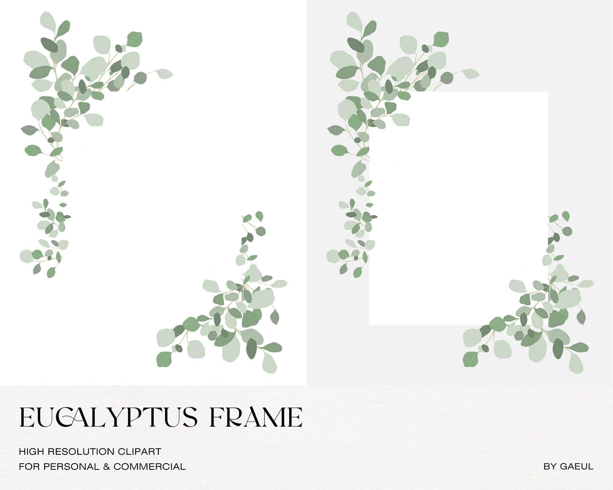 Eucalyptus Frame Clipart PNG Botanical Clipart Digital | Etsy