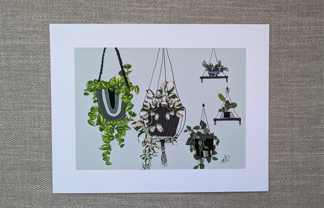 Art Print Hanging Plants Etsy