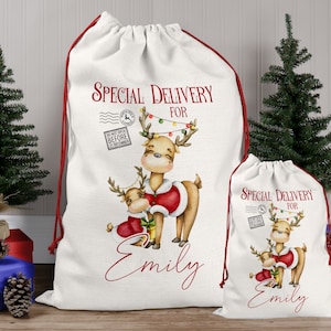 Personalised Santa Reindeer Sack Christmas  Boys Present Girls  Xmas Gift Bag Christmas Eve box, first Christmas gift