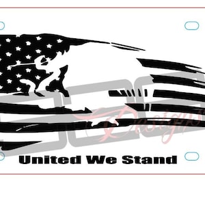 Mexican american license plate svg