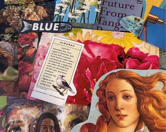 Zestaw startowy 50 wyciętych czasopism Junk Journal z reklamami w stylu vintage i kolażem + dodatkowe gadżety