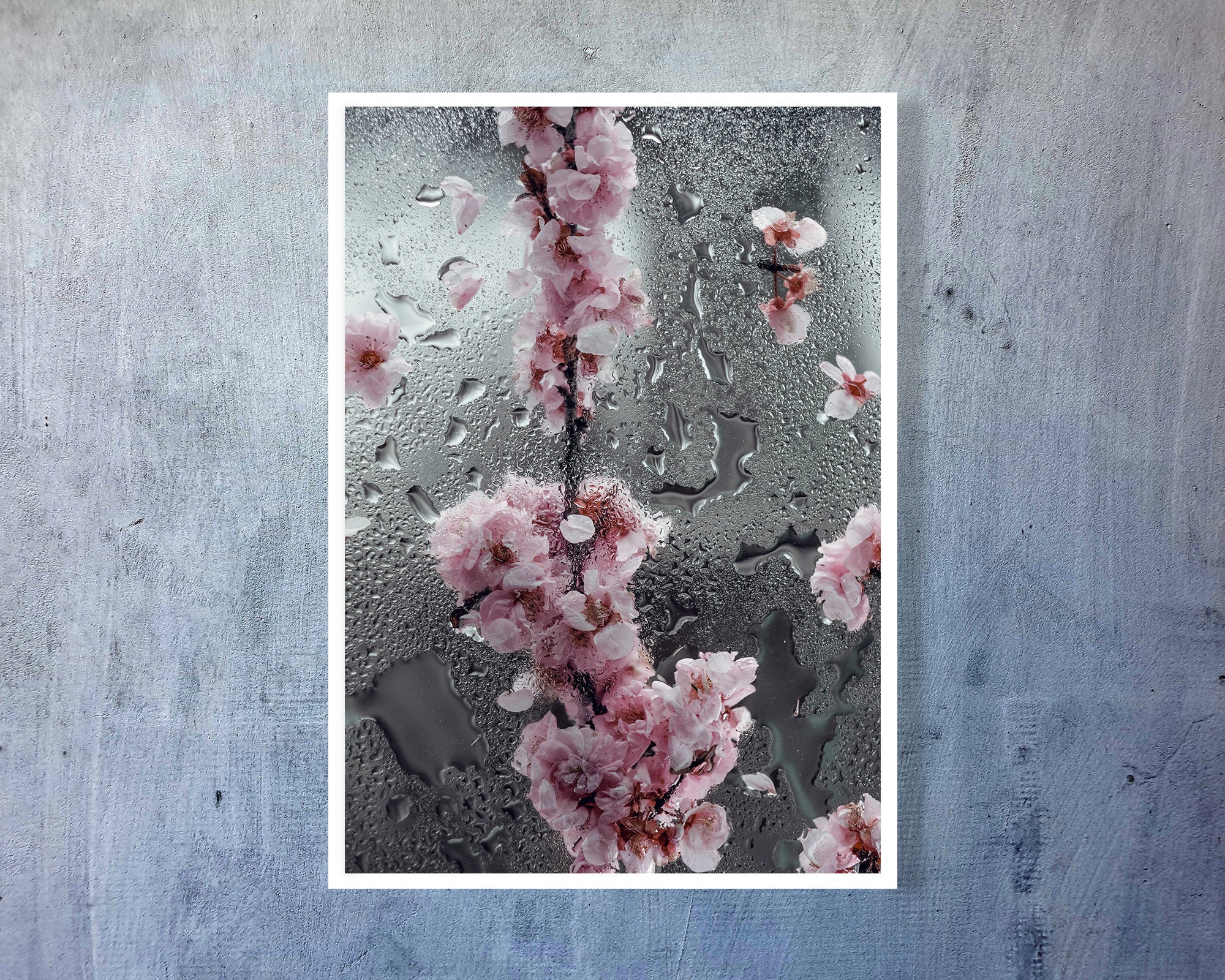 Pink Cherry blossom Wall Art Flower Printable Photo Etsy
