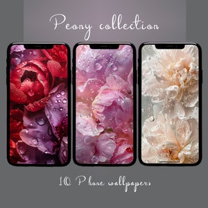 Fonds d'écran pivoine pour téléphone | Papier peint esthétique iPhone | Fond floral de téléphone | Fonds d'écran Fleurs roses | Haute qualité