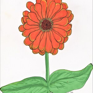 Orange Zinnia, Brush Marker and Pen Drawing - Digital Download