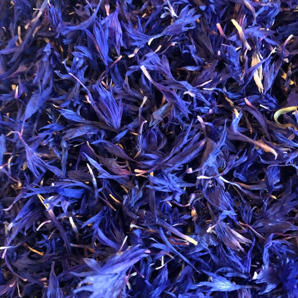 Herbal Tea With Dried Blue Cornflower Stock Photo - Image Of Herbal