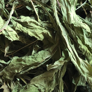 Dandelion Leaves - Hand picked, Taraxacum officinale, bulk herbs,kosher herbs, dried dandelion leaf, 2025