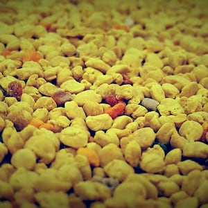 BEE POLLEN - Granules | Raw Bee Pollen | Wild Bee Pollen | Herba | Bee Pollen Granules | 2025