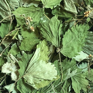 Wild strawberry leaf tea - Hand picked, Strawberry leaves, Organic herbal tea 10 g/ 0.35 oz, 2025