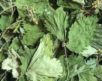 Wild strawberry leaf tea - Hand picked, Strawberry leaves, Organic herbal tea 10 g/ 0.35 oz