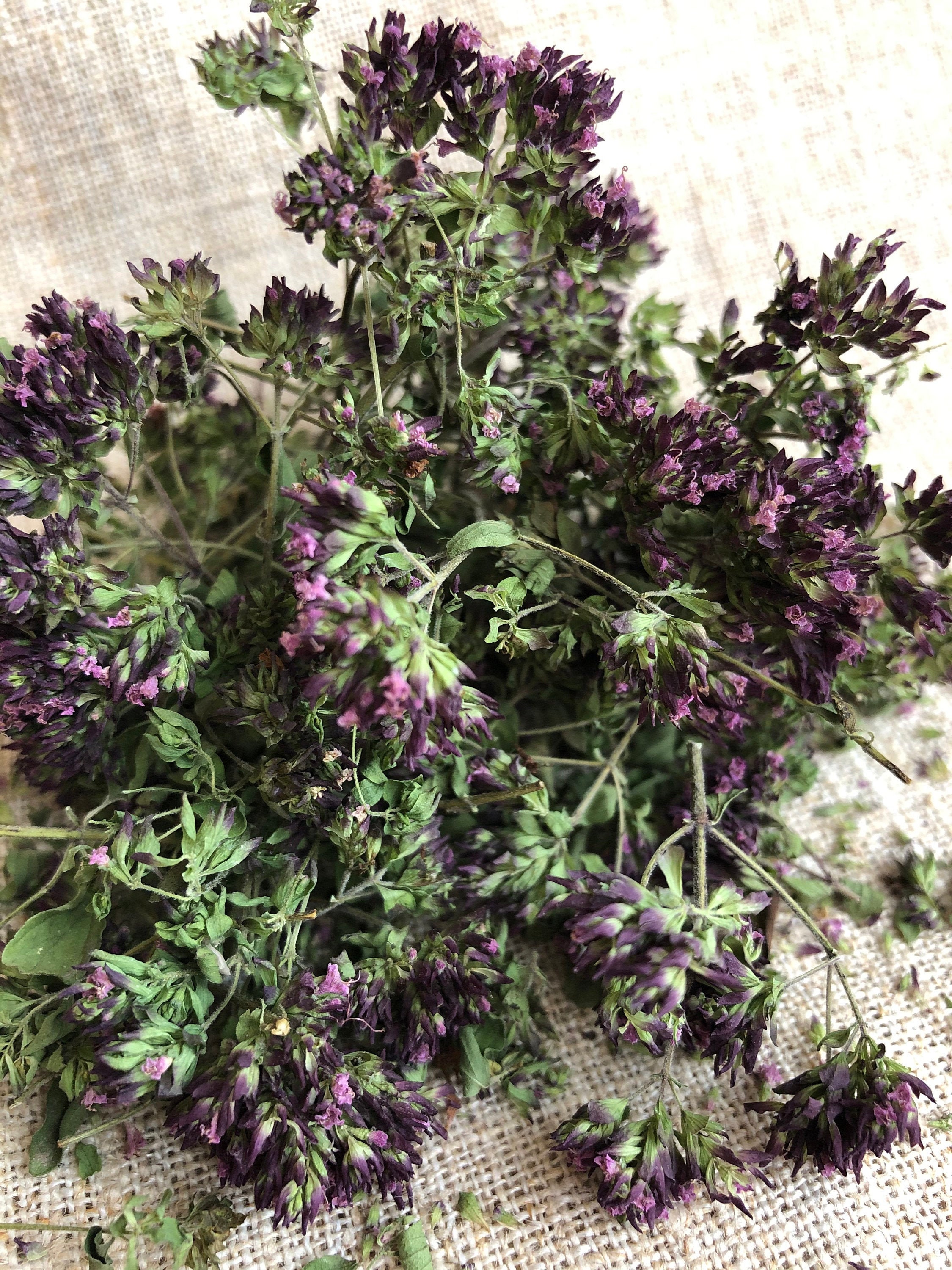 Dried wild oregano flowers Hand picked Purple dried flower Etsy