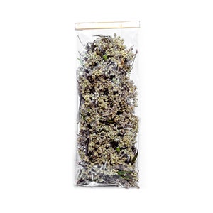 Mugwort Tea - Hand Picked  | Artemisia Vulgaris | Mugwort Herb | Organic 10 g ( 0.35 oz), 2025