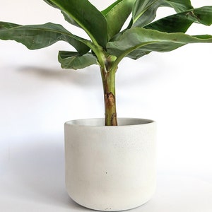 Extra Large Concrete Planters Minimalistic concrete plant pot Concrete casing pot White