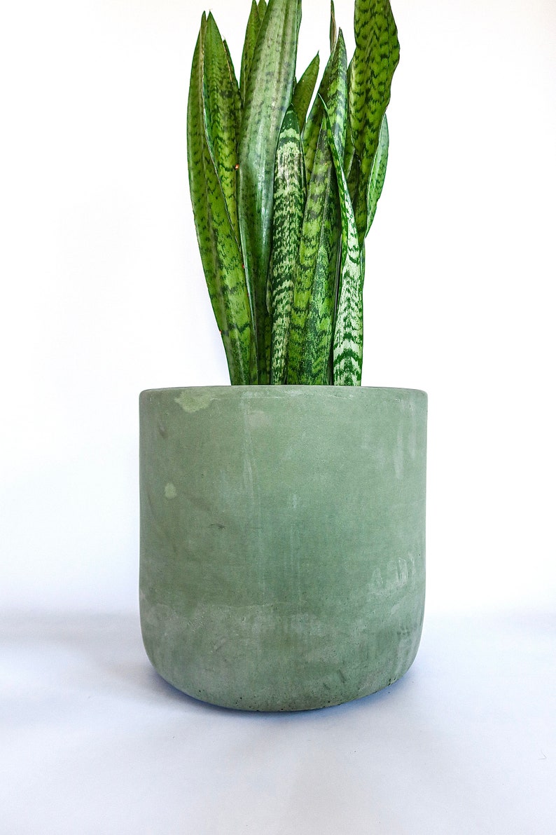 Fioriere in cemento extra large Vaso per piante in cemento minimalista Involucro in cemento pentola Green