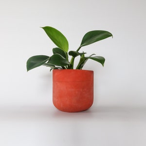 Extra Large Concrete Planters Minimalistic concrete plant pot Concrete casing pot Rust