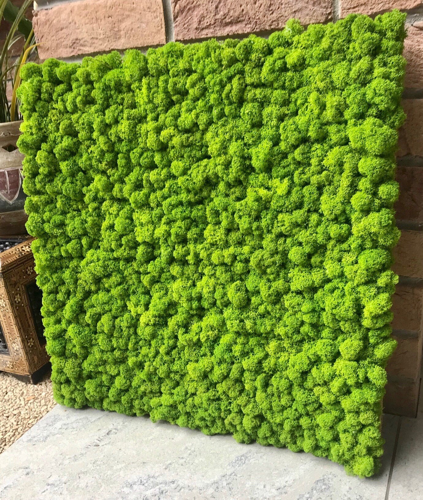 Original Moss Wall Panels Handmade Reindeer Moss Wall Panels Etsy