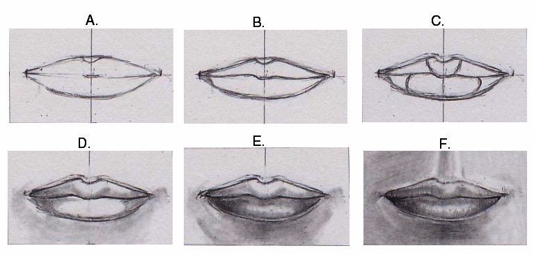 Start to Draw the Face, Tutorial PDF, How to Draw the Face, Drawing ...