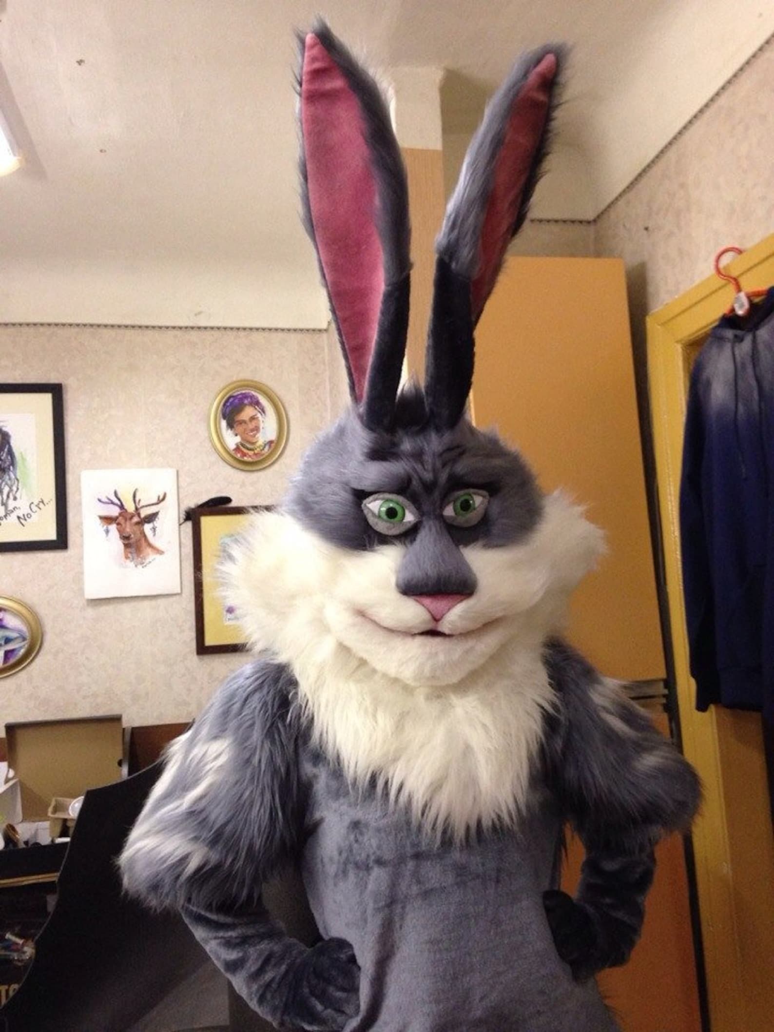Partial Unisex Bunny Mascot Fursuit Replica Rabbit Mascot Etsy