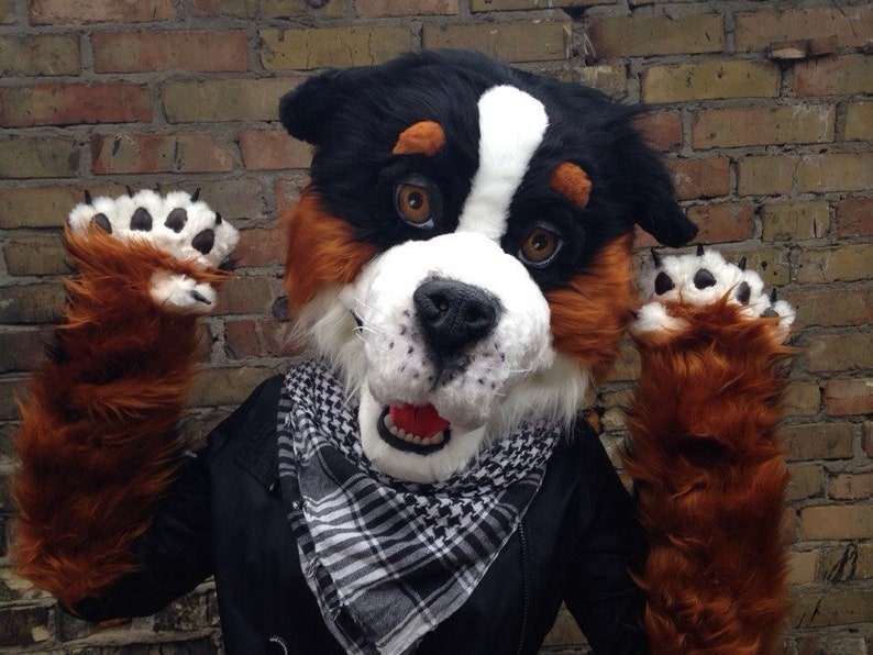 Fursuit Dog Head Bernese Sinnenhund Furry Custom Partial Fursuit Fursuit Dog Head Bernese Sinnenhund Furry Custom Partial Fursuit