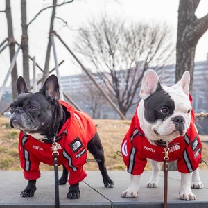 North face dog collar discount