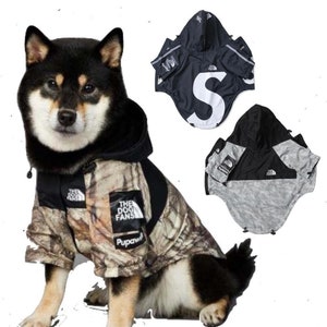 Dog patagonia shop vest
