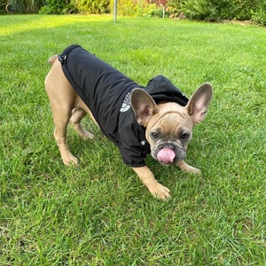 Dog Winter Jacket For Small Medium Dogs, Dog Rain Jacket, Pet Clothing