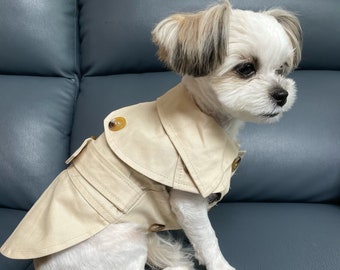 dog in a trench coat