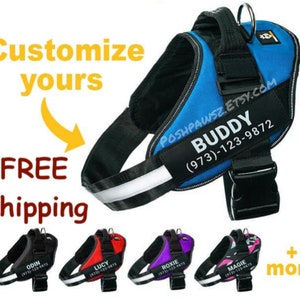 Personalized Dog Harness - Custom Patch For Small, Medium, or Large Dog - No Pull Adjustable Harness