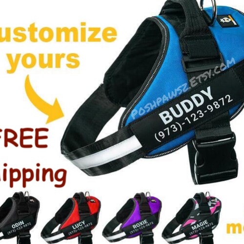 Personalized Dog Harness Custom Patch for Small Medium or Etsy