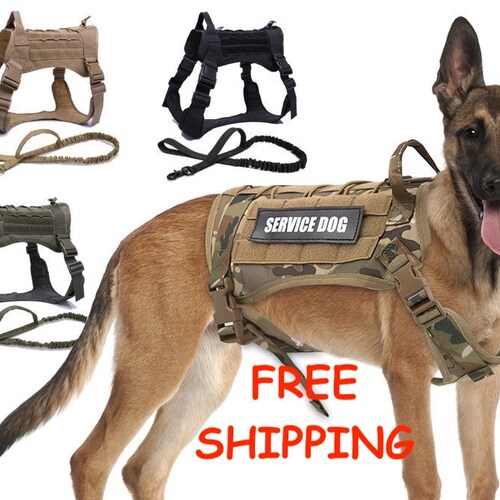 Tactical Dog Harness Pet Dog Harness With Leash Set Nylon Etsy