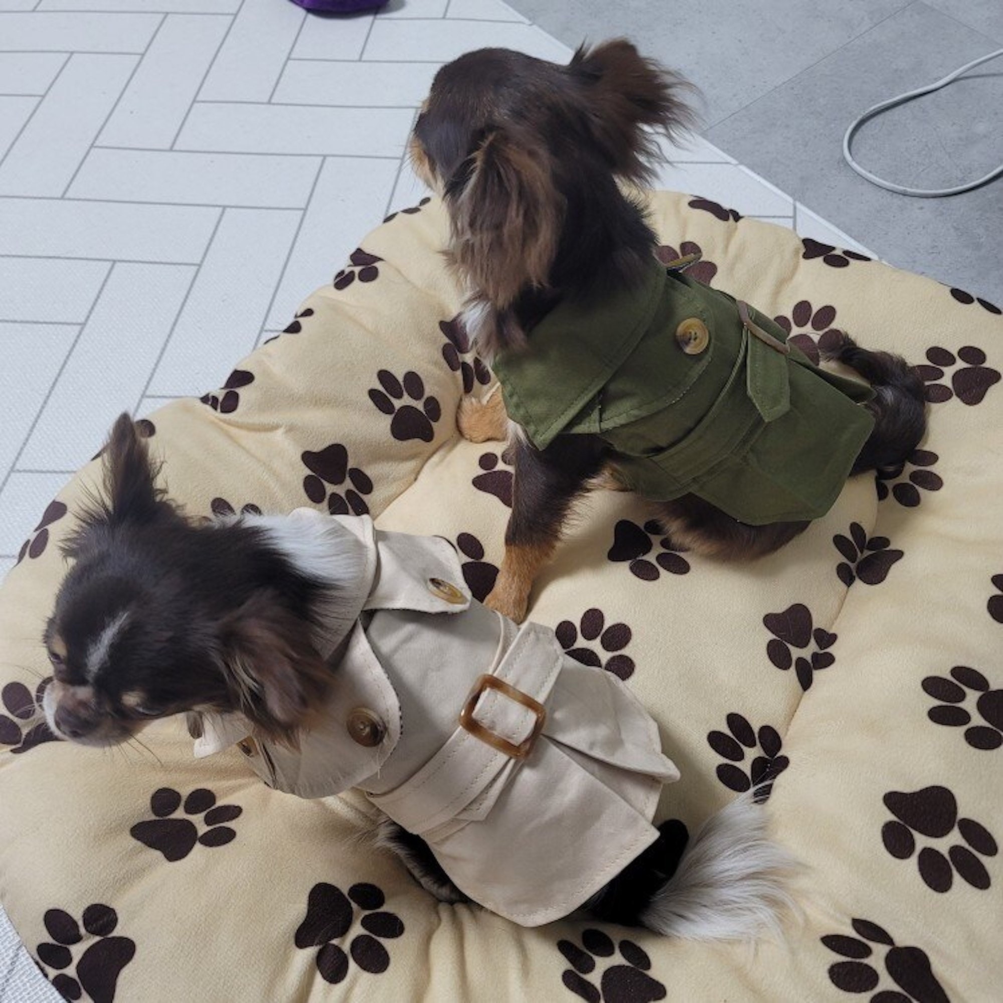 Dog Trench Coat Jacket Elegant British Style Dog Clothes for Etsy