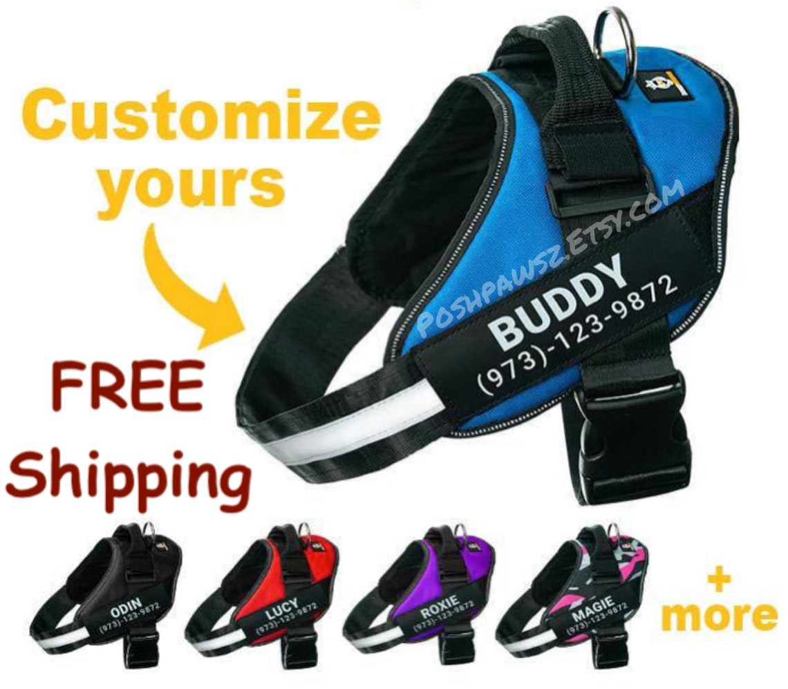 Personalized Dog Harness Custom Patch For Small Medium or Etsy