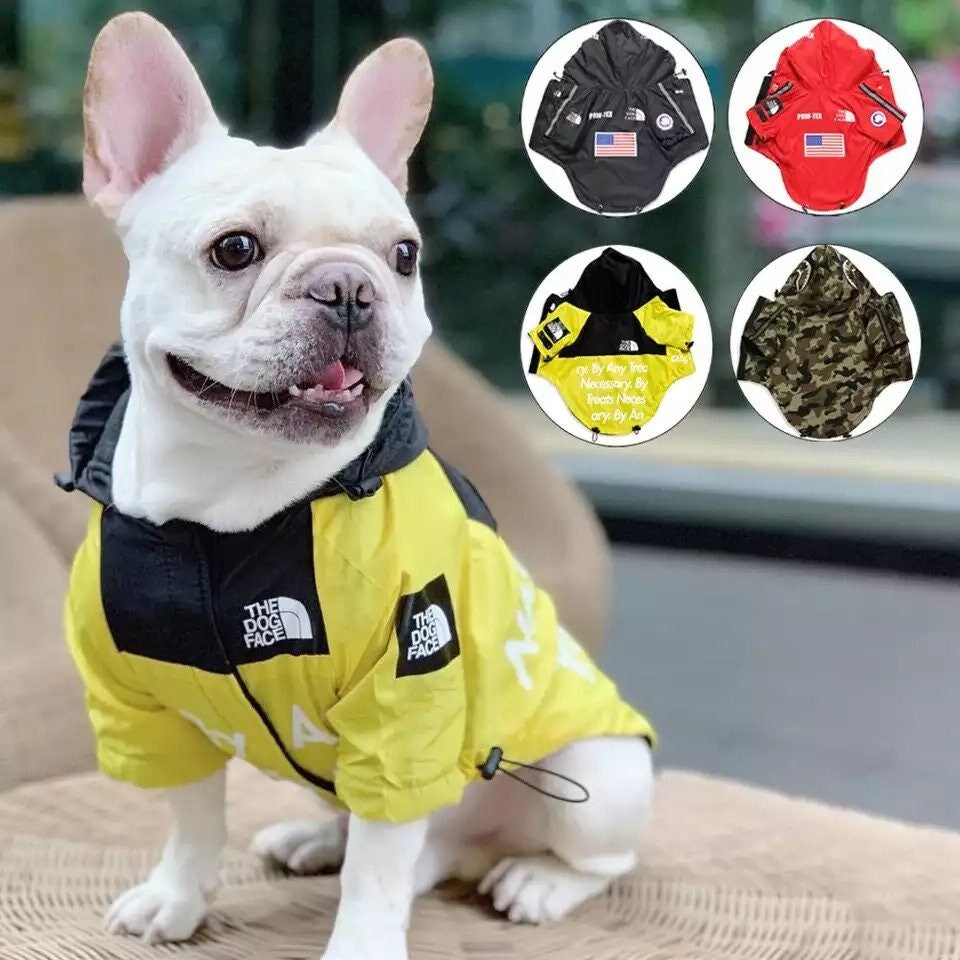 Dronken worden Koopje ventilatie Gucci Dog Jacket - Etsy