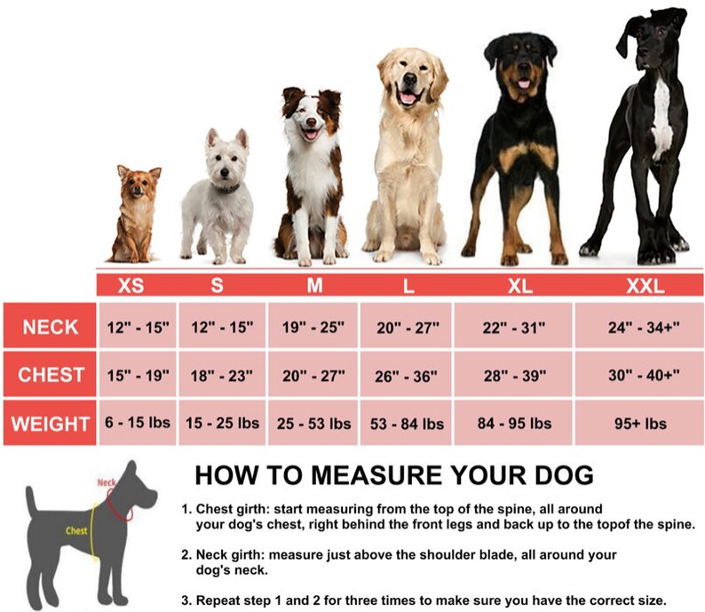 Personalized Dog Harness Custom Patch for Small Medium or Etsy