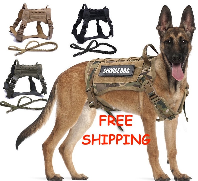 Tactical Dog Harness Pet Dog Harness With Leash Set Nylon Etsy