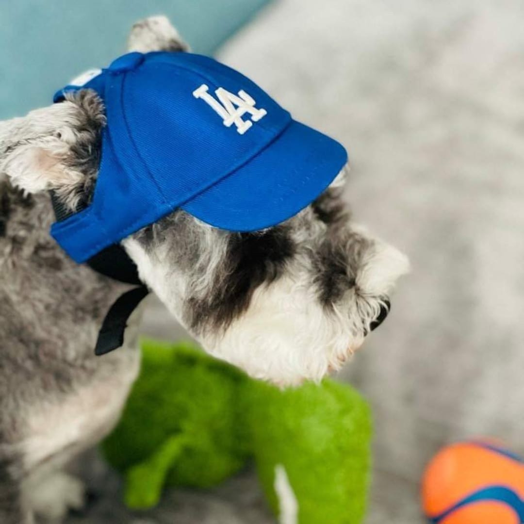 Dog Hat With Ear Holes for Small Medium Dogs Baseball Hat for Small