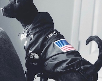 large dog hoodie