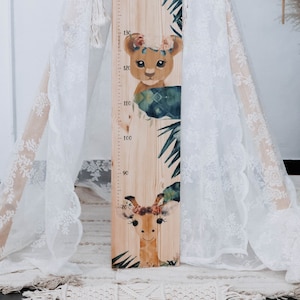 Messlatte Löwe Giraffe