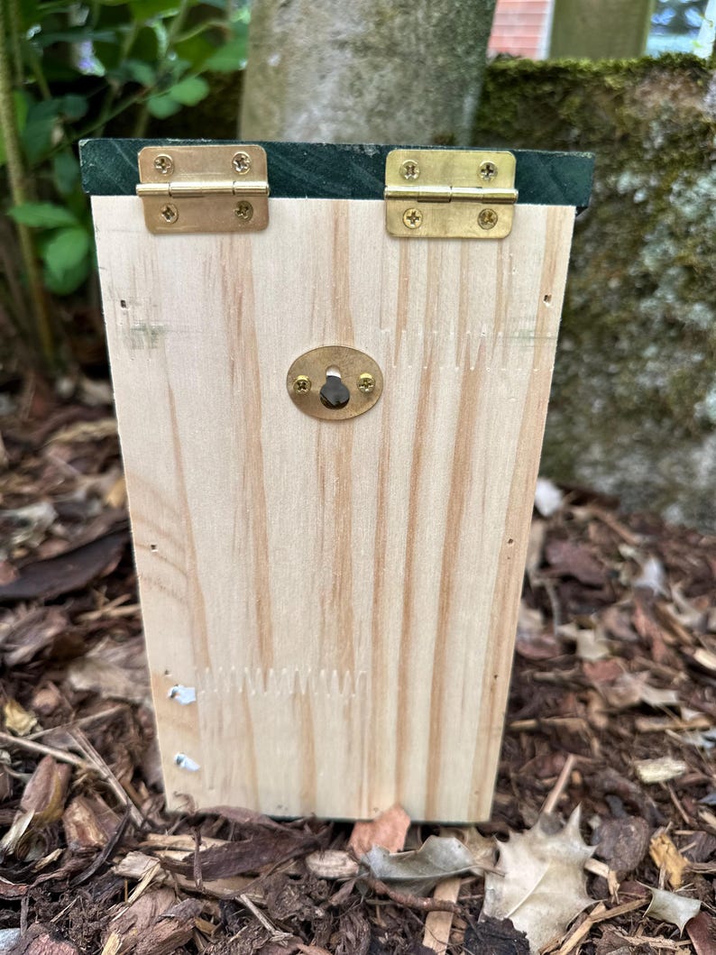 May include: A wooden birdhouse with a green roof and brass hinges. The birdhouse is made of light-colored wood and has a small brass latch. The birdhouse is designed to be mounted outdoors.