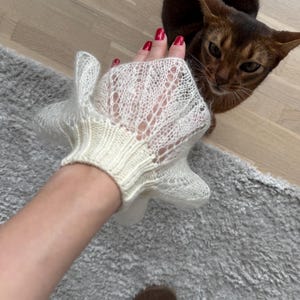 May include: A cream-colored, open-weave glove with a ruffled edge. The glove is made of a delicate, possibly knitted or crocheted material. A brown cat with large ears is in the background.