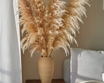 XL Pampas Grass / Floral Seco / Perfecto para Bodas / 5 tallos /