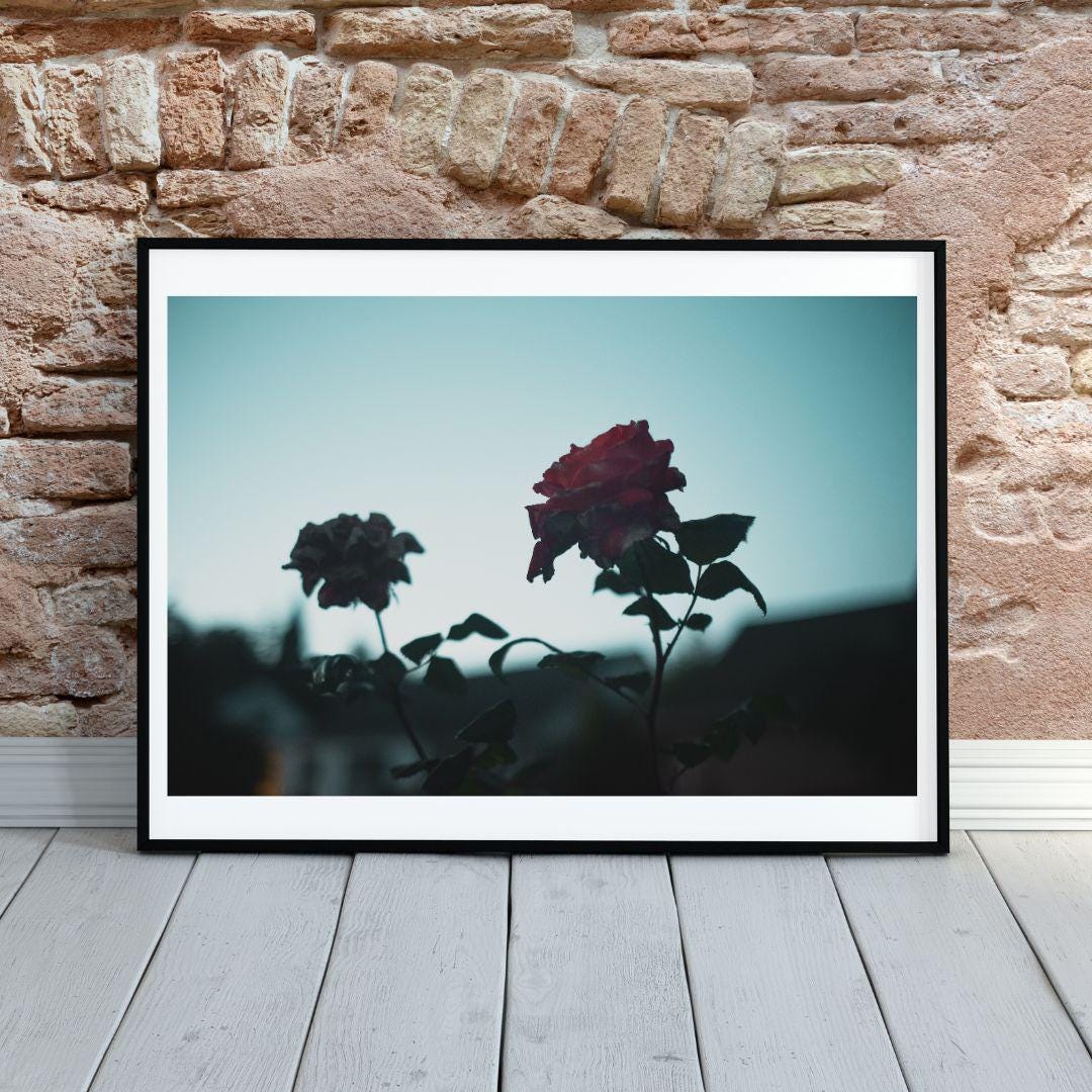 Downloadable Moody Dark Rose Photography Print – Eugene Oregon Floral ...