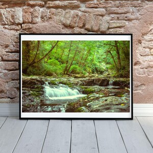 Downloadable Travel Nature Photography | Serene Siuslaw Forest Water Stream | Siuslaw National Forest Oregon