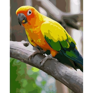 May include: A sun conure parrot perched on a thick wooden branch. The bird features a vibrant yellow and orange head and chest, with bright green and dark blue feathers on its wings and tail. It has a dark gray beak and a white eye ring.