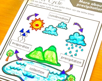 First Grade Science Etsy