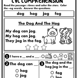 Phonics Worksheets CVC comprehension early readers Kindergarten/First Grade image 6