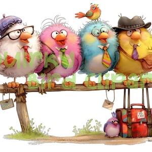 Quirky Bird Clipart | Quirky Clipart Watercolor | Funny Bird Clipart | Animal Clipart | Quirky Decorations | Quirky Wallart | Cute Birds