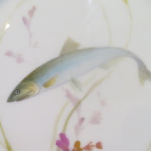 Superbe assiette à poisson porcelaine Copenhague Engraulis crassicornis royal Copenhagen plato de pescado porcelánico Engraulis crassicornis