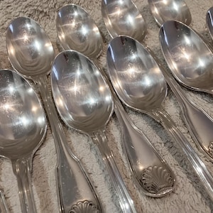 Op de afbeelding: Een verzameling zilverkleurige metalen lepels gerangschikt in een groep. Elke lepel heeft een gepolijste, reflecterende ovale kom en een handvat dat aan de basis is versierd met een verhoogd schelpmotief. De metalen oppervlakken zijn glad.