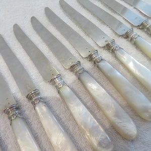 11 fruit knives mother of pearl handle 800 silver blade rocaille style late 19th c french 800 silver & mother of pearl fruit knives